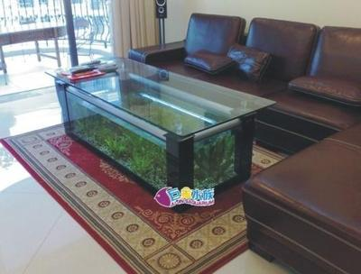家用魚缸十大名牌排名 龍魚百科 第3張 家用魚缸十大名牌排名 家用魚缸十大名牌排名 龍魚百科 第3張