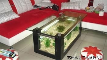 茶葉放魚缸里會壞嗎：茶葉不適合放入魚缸，但茶水不適合放入魚缸，對魚產生不良影響
