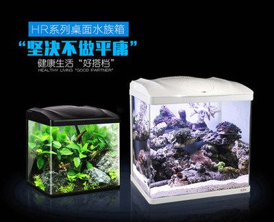 sunsun魚缸官方旗艦店：sunsun魚缸官方旗艦店怎么樣