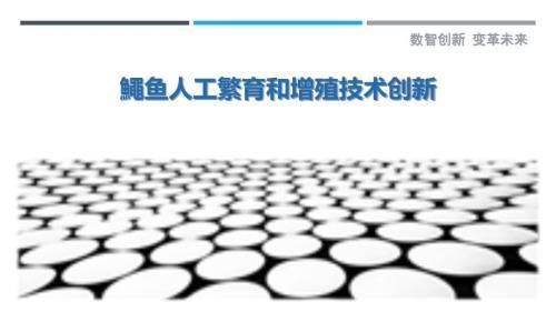 黑帝王魟魚人工繁殖技術(shù)進(jìn)展，黑帝王魟魚的人工繁殖技術(shù)是提高繁殖成功率的關(guān)鍵