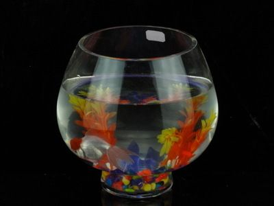 玻璃瓶魚缸魚能活多久視頻：\"玻璃瓶魚缸魚能活多久