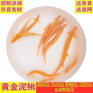 森森恒溫機不制冷