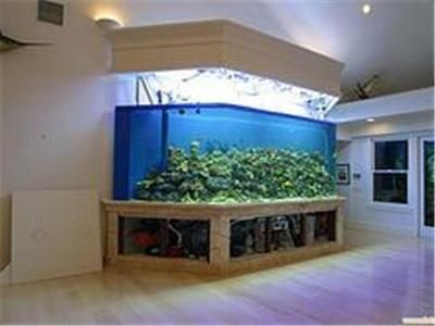 本人有大量魚缸便宜甩賣:關于魚缸甩賣的一些信息 魚缸百科 第4張 本人有大量魚缸便宜甩賣:關于魚缸甩賣的一些信息 本人有大量魚缸便宜甩賣:關于魚缸甩賣的一些信息 魚缸百科 第4張
