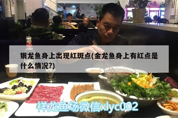 銀龍魚身上出現紅斑點(金龍魚身上有紅點是什么情況?)