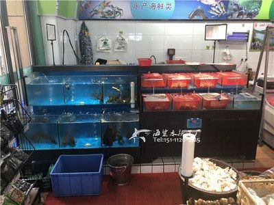 超市魚缸消毒：廣州海鮮超市魚缸怎么消毒
