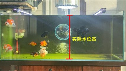 大蘇打魚缸放多少水合適呢：關于大蘇打在魚缸中使用的相關信息