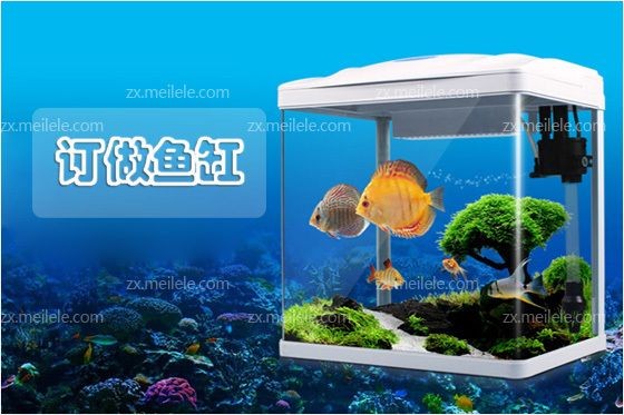 定做魚缸需要注意什么：亞克力魚缸擺放的風水講究在中國傳統文化中