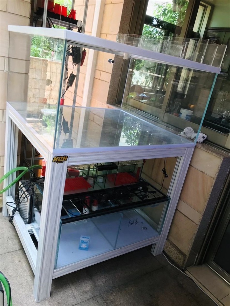 簡約系針對性設計海水系統