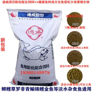 草魚魚缸養殖能長大：草魚在魚缸中養殖是不可行的