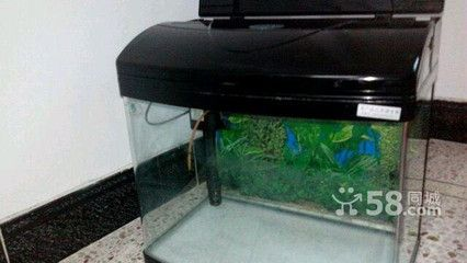 成品魚缸上蓋如何拆除視頻：一體魚缸上蓋如何拆除