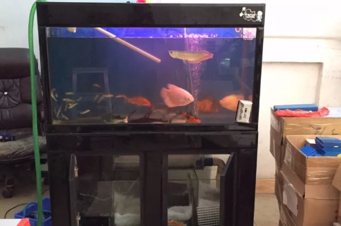 為什么魚缸過濾器抽不上水(魚缸過濾器抽不上去水)