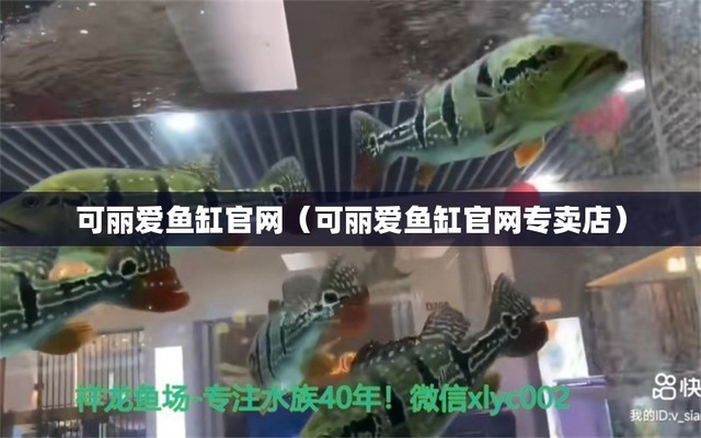 祥龍魚場品牌產品有哪些牌子好用（祥龍魚場品牌產品有哪些牌子好用呢）