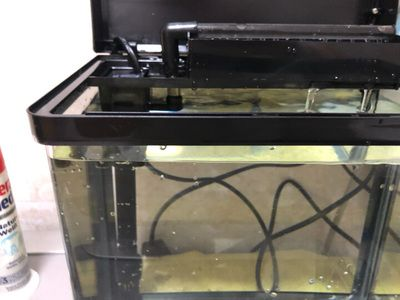 博宇魚(yú)缸水泵安裝視頻：博宇魚(yú)缸水泵安裝視頻對(duì)不起我沒(méi)能找到關(guān)于博宇魚(yú)缸水泵安裝視頻的信息