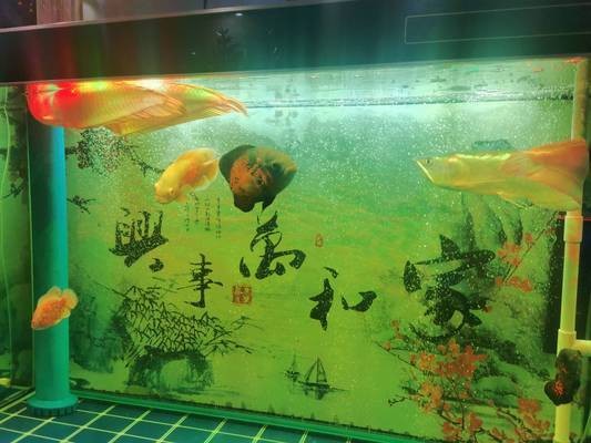廣饒縣明月小區水之戀水族館（廣饒水岸名居在哪個位置）