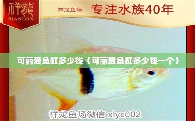 紅龍魚和辣椒紅龍魚的區別，精品血紅龍魚圖片大全、辣椒紅龍魚和辣椒紅龍魚的區別