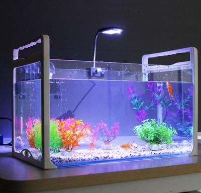 帶水魚缸怎么運輸：運輸帶水魚缸的方法
