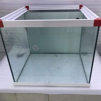 大型魚缸上過濾好還是下過濾好：上過濾和下過濾各有優缺點 大型魚缸上過濾好還是下過濾好：上過濾和下過濾各有優缺點 魚缸百科 第3張