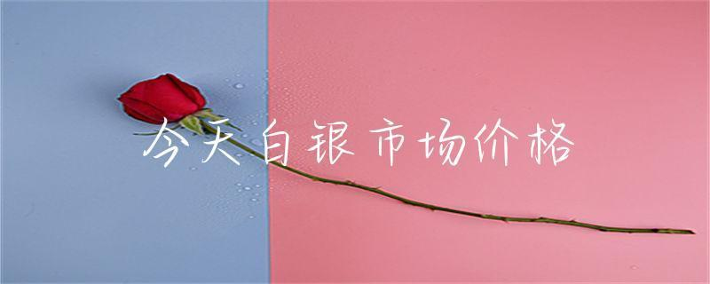 白銀紅龍魚價格2688貴嗎？