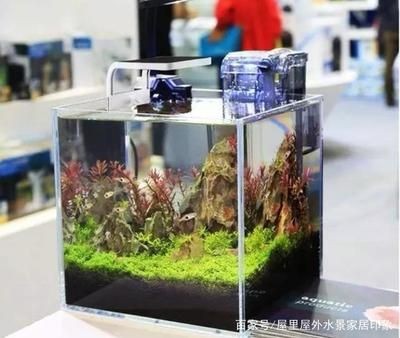超白缸魚缸推薦：超白魚缸品牌推薦