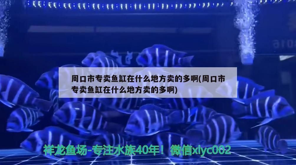 周口市專賣魚缸在什么地方賣的多啊(周口市專賣魚缸在什么地方賣的多啊)