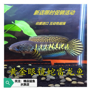 上過濾魚缸改下過濾視頻講解（上過濾魚缸改下過濾視頻講解教程）