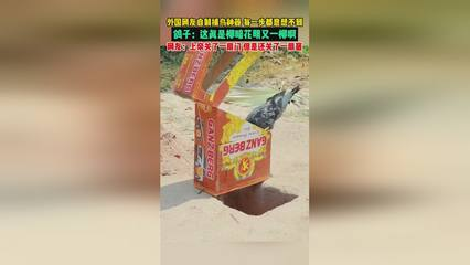 柳林縣冬冬生態(tài)水族店（柳林縣冬冬生態(tài)水族店電話）