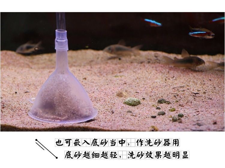 大魚缸怎么清理沙子視頻：如何清洗魚缸底沙？