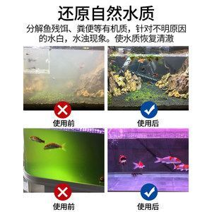 森森硝化細菌為什么很臭