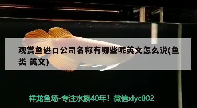 博特加熱棒使用方法視頻(博特加熱棒說明書)