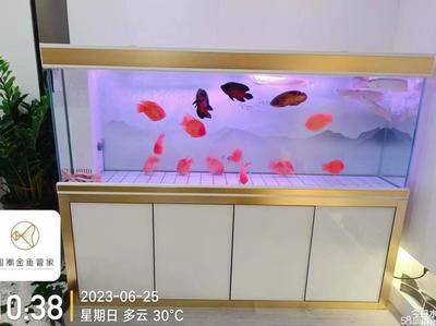 草缸魚缸哪個(gè)好養(yǎng)