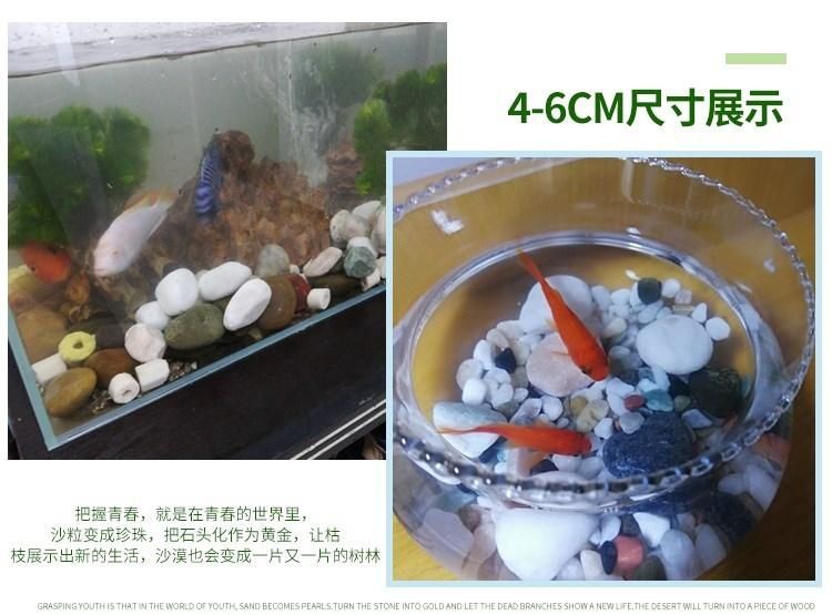 彩色石子能放魚缸里嗎：彩色石子可以放在魚缸里嗎？