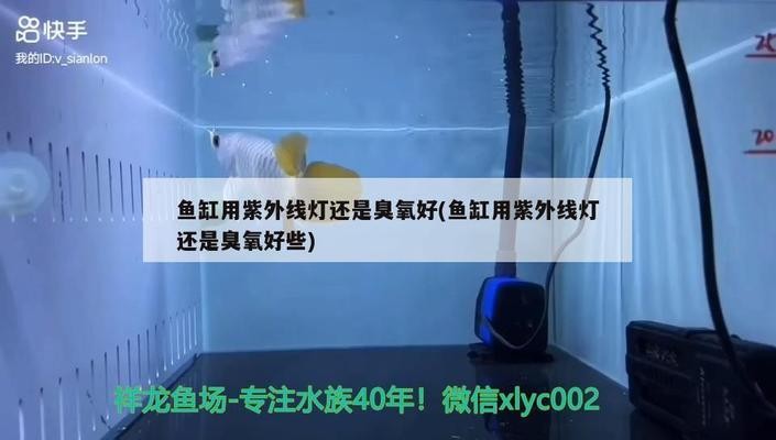 博特水泵TS2與TX2區別的簡單介紹