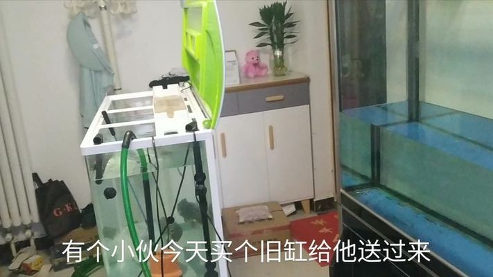什么魚能和龍魚、虎魚混養(yǎng)(龍魚能和虎魚混養(yǎng)嗎) 水族館加盟找祥龍魚場怎么樣(水族館加盟找祥龍魚場怎么樣啊) vs祥龍魚場 水族館加盟找祥龍魚場怎么樣(水族館加盟找祥龍魚場怎么樣啊) 水族館加盟找祥龍魚場怎么樣(水族館加盟找祥龍魚場怎么樣啊) vs祥龍魚場