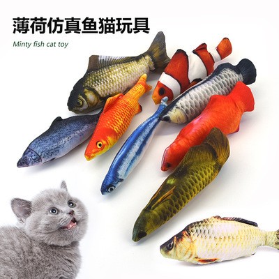 金龍魚活體 金龍魚活體 龍魚百科 第2張