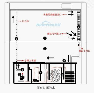魚缸水泵的原理圖，魚缸水泵維護周期如何選擇合適