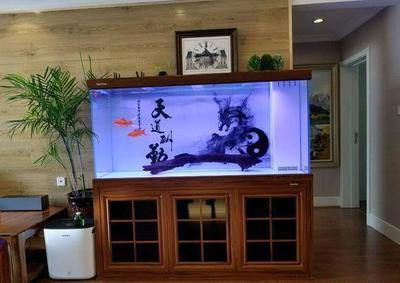 瀘州哪里有定做魚缸的店鋪呢（瀘州哪里有定做魚缸的店鋪呢電話）