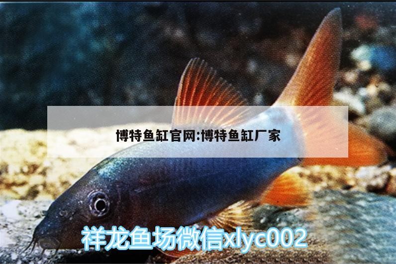 博特魚缸官網:博特魚缸廠家