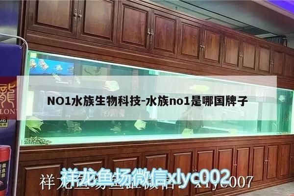 魟魚種質改良最新研究：關于魟魚種質改良的最新研究