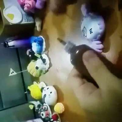 森森樂園 233樂園