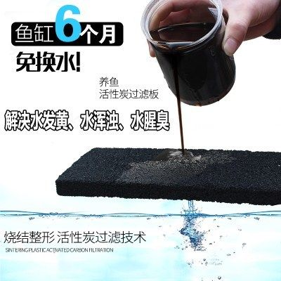 大魚缸不換水怎么日常維護：大魚缸不換水的日常維護需要綜合考慮多個方面的因素