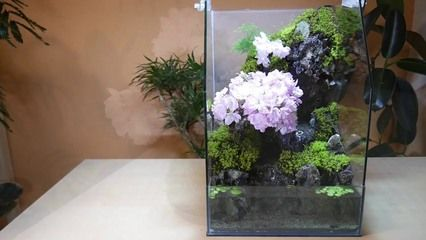 玻璃魚缸制作方法粘貼圖：玻璃魚缸制作方法