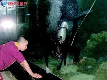 大魚缸如何清洗水垢視頻