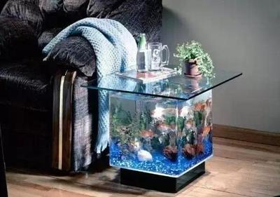 世界十大土豪魚缸