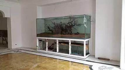 世界十大土豪魚缸