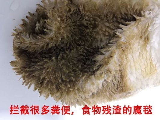 福鼎市秦嶼洪盛水族館（福鼎市秦嶼洪盛水族館電話）