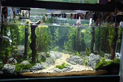 超白魚缸劃痕修復：超白魚缸劃痕修復方法