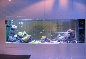 超白魚缸劃痕修復：超白魚缸劃痕修復方法
