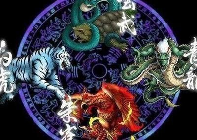 龍魚最忌三種配魚