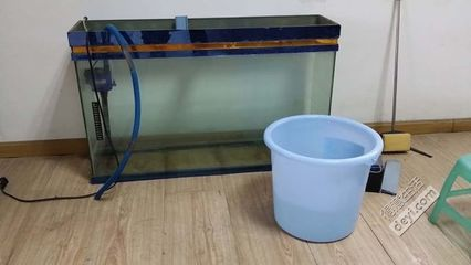 大魚缸怎么加水視頻：大型魚缸加水的正確方法和注意事項和注意事項