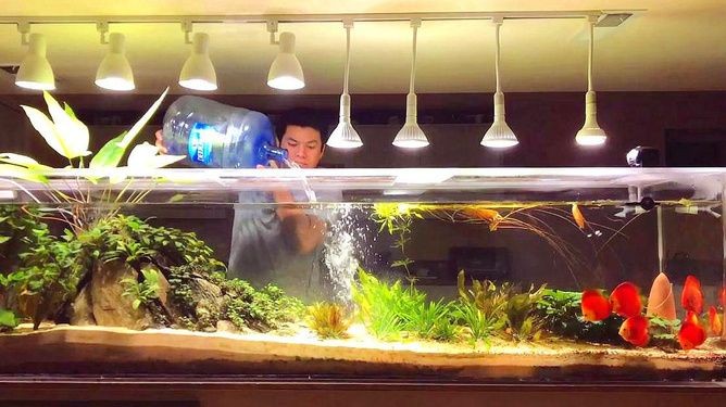 大魚缸怎么加水視頻：大型魚缸加水的正確方法和注意事項和注意事項